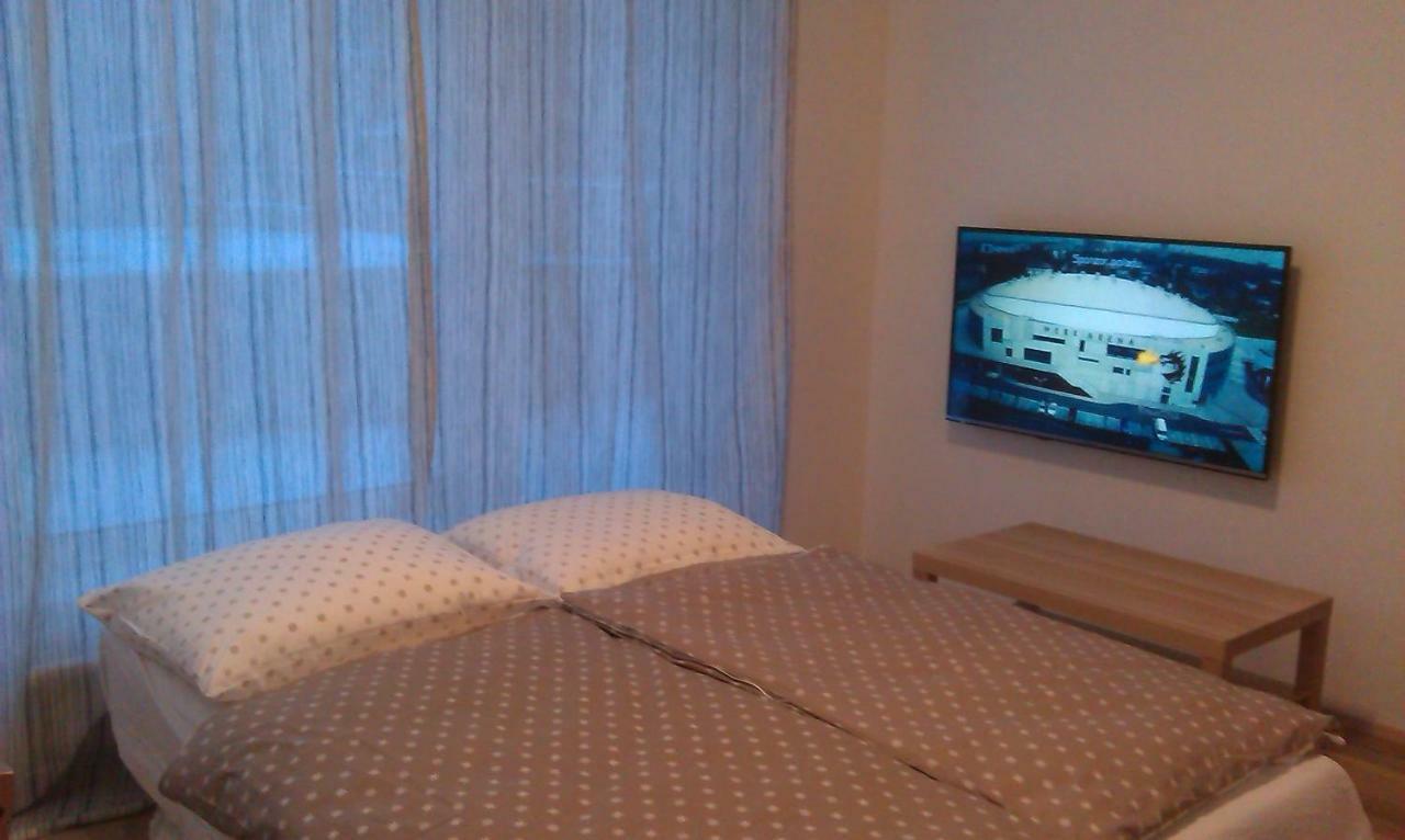 Sunny, Fully Furnished Studio Type With Terrace Plzeň Exteriör bild